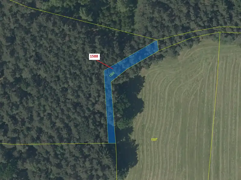 Dražba lesa 475 m², Slavče – náhled fotky 2