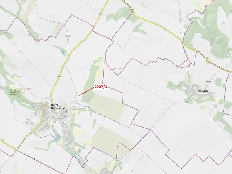 Dražba lesa 28 m², Horní Dunajovice – náhled fotky 1