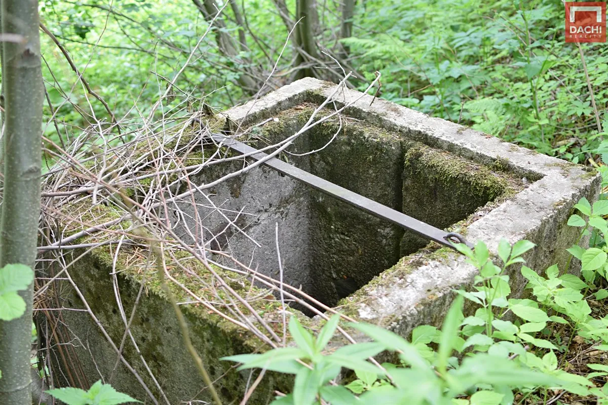 Fotka 15 z 17