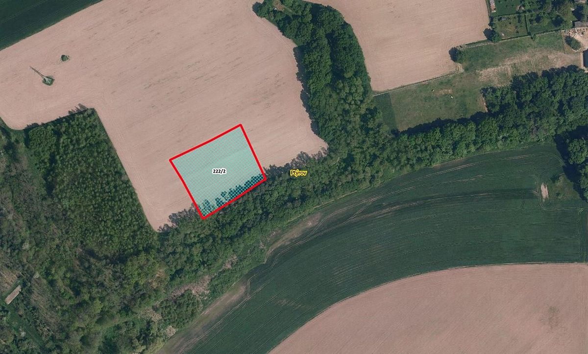 Prodej pole 5325 m²