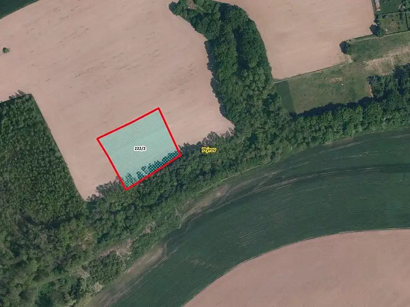 Prodej pole 5325 m², Ptýrov – náhled fotky 1
