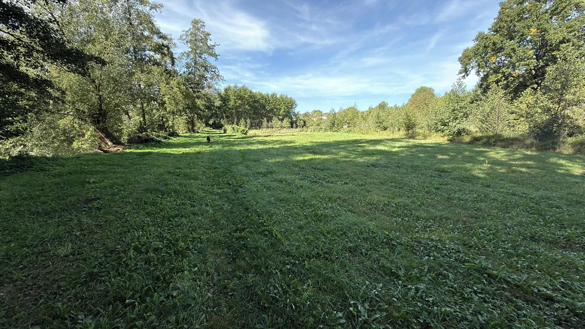 Fotka 15 z 19