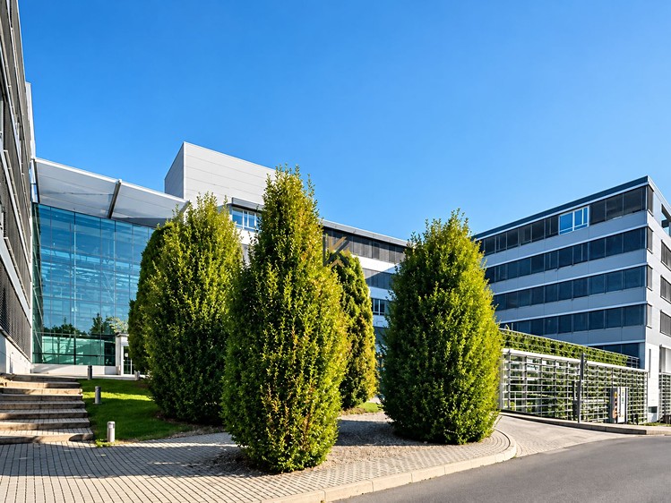 Pronájem komerčního prostoru, 325 m² (9 z 11)