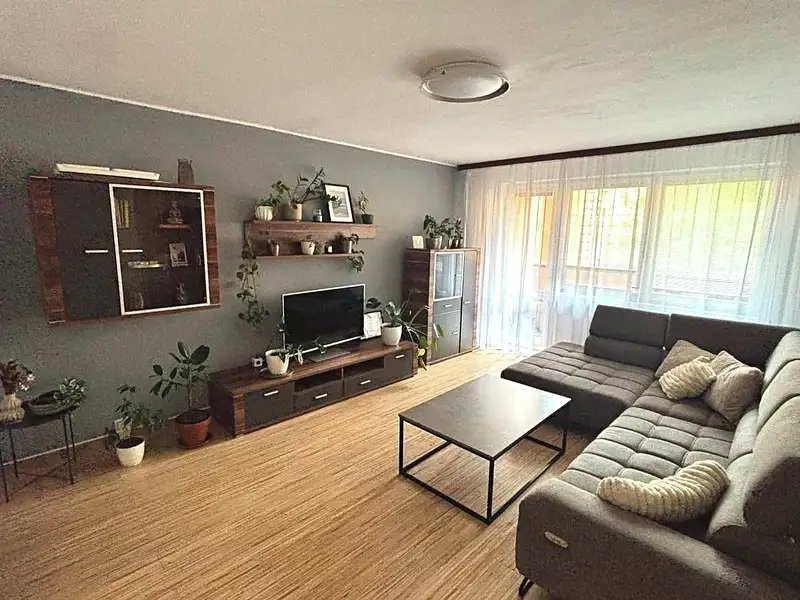 Prodej bytu 3+1, 80 m², Frýdek-Místek