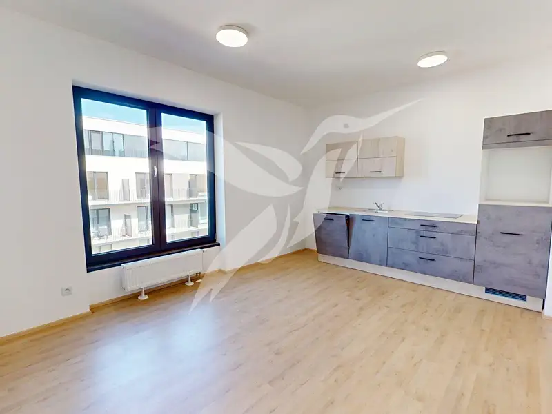 Pronájem bytu 1+kk 30 m², Plzeň – náhled fotky 1