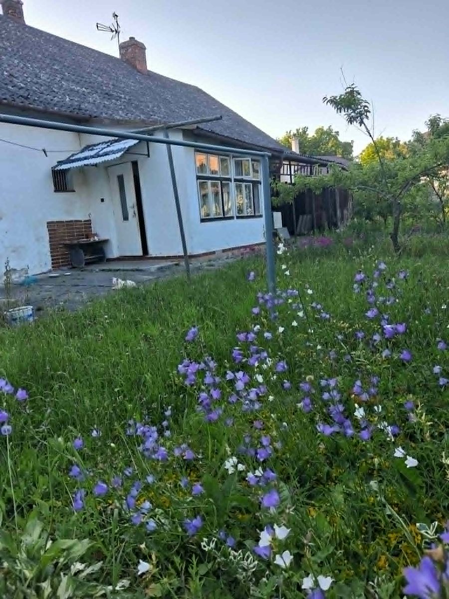 Prodej rodinného domu 200 m², pozemek 1154 m² – fotografie 4
