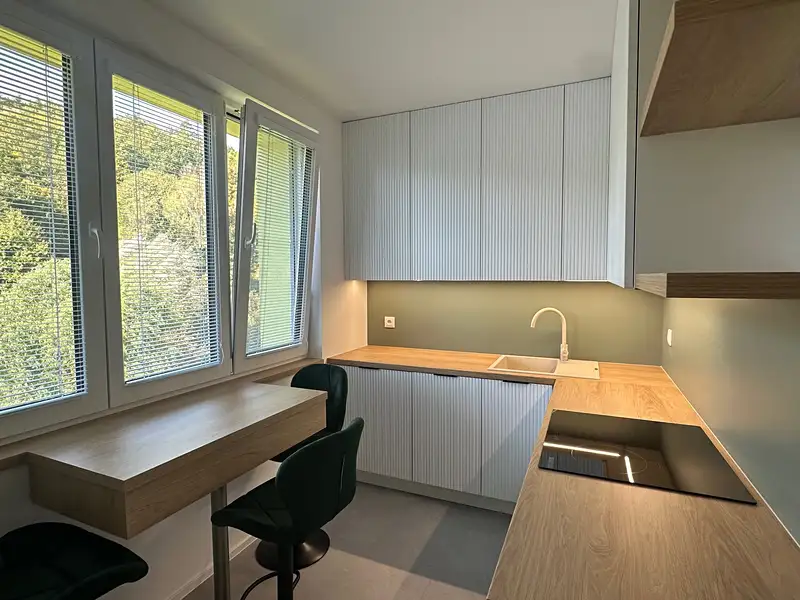 Pronájem bytu 1+1 35 m², Luhačovice – náhled fotky 1