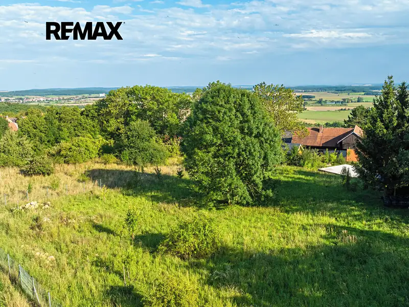 Prodej stavebního pozemku 2594 m², Bačalky – náhled fotky 2