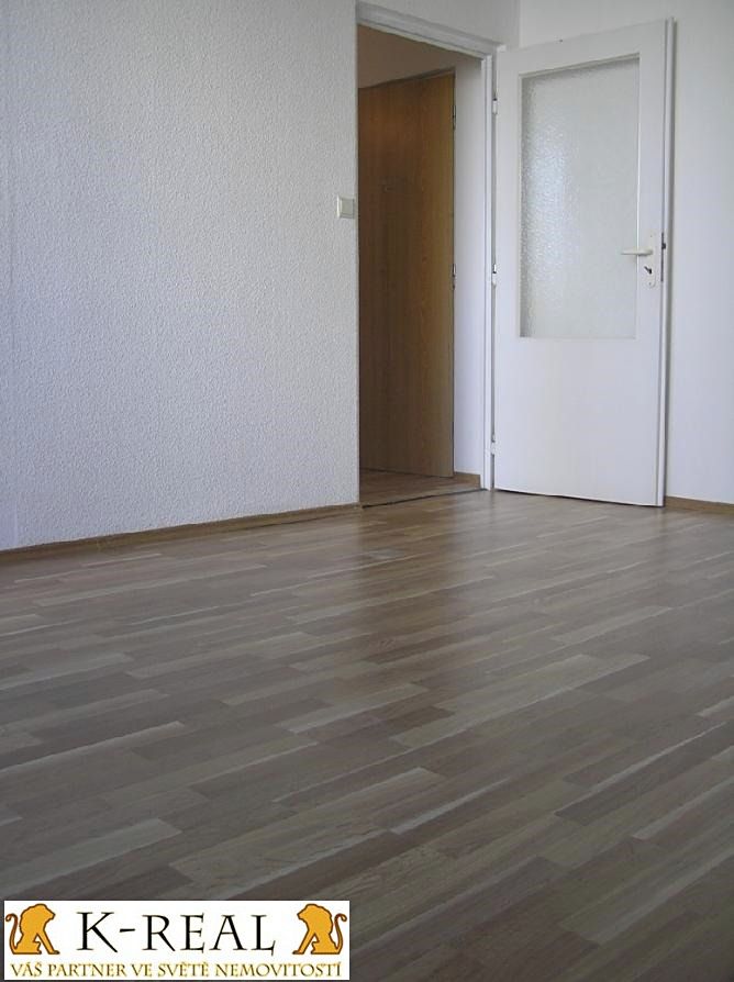 Pronájem bytu 2+1 47 m² – fotografie 2