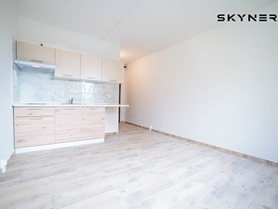 Pronájem bytu 1+kk 21 m²