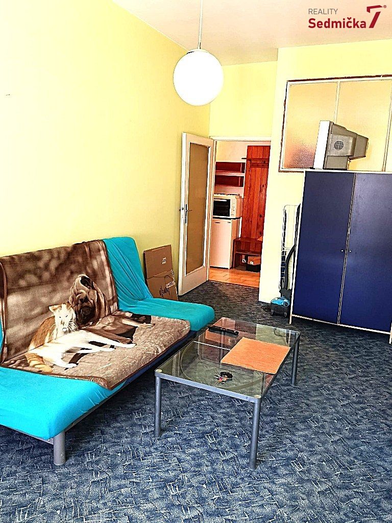 Pronájem bytu 1+kk 28 m² – fotografie 5