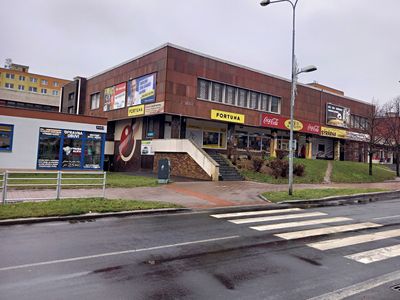 Pronájem obchodního prostoru 100 m²