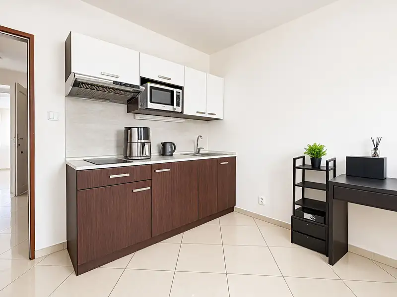 Prodej bytu 1+kk 29 m², Brno – náhled fotky 1