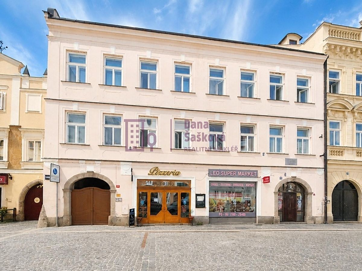 Pronájem bytu 1+kk 50 m²