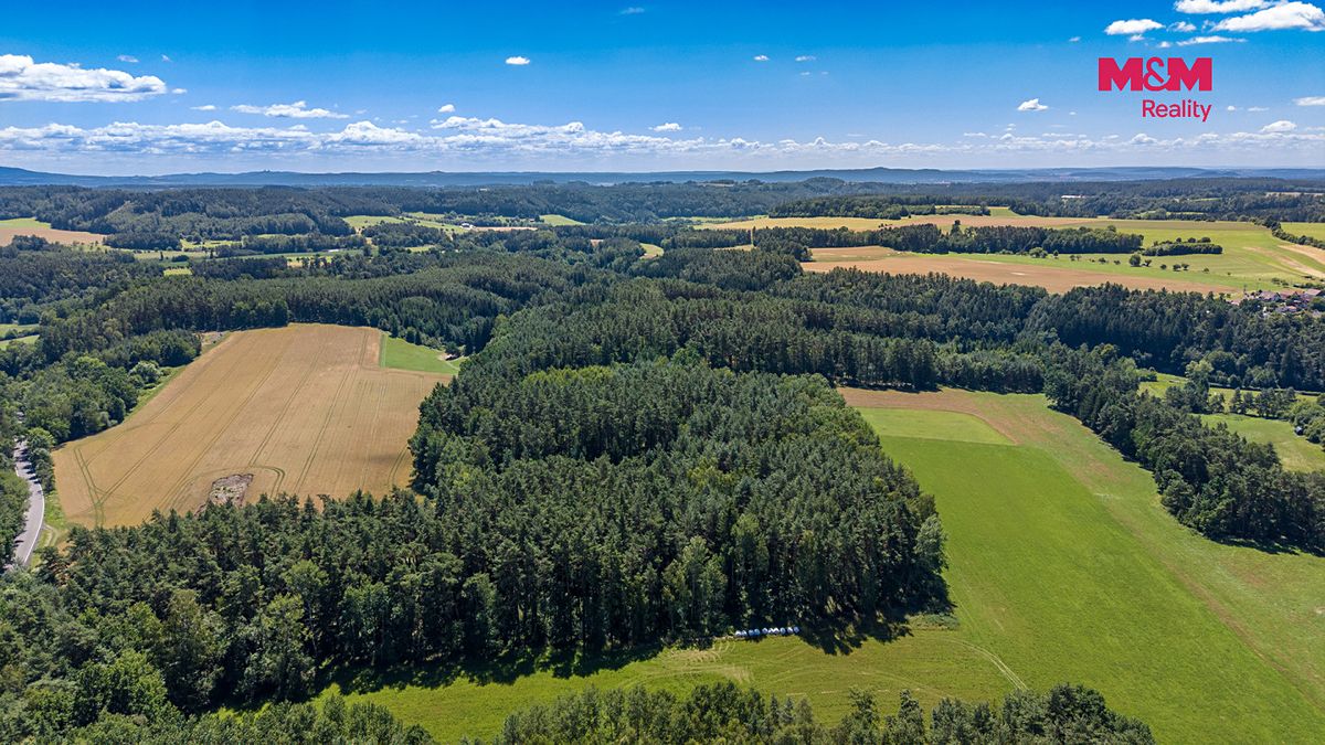 Prodej lesa 22447 m² – fotografie 3