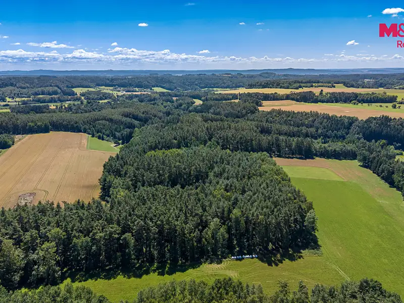 Prodej lesa 22447 m², Bílá – náhled fotky 3