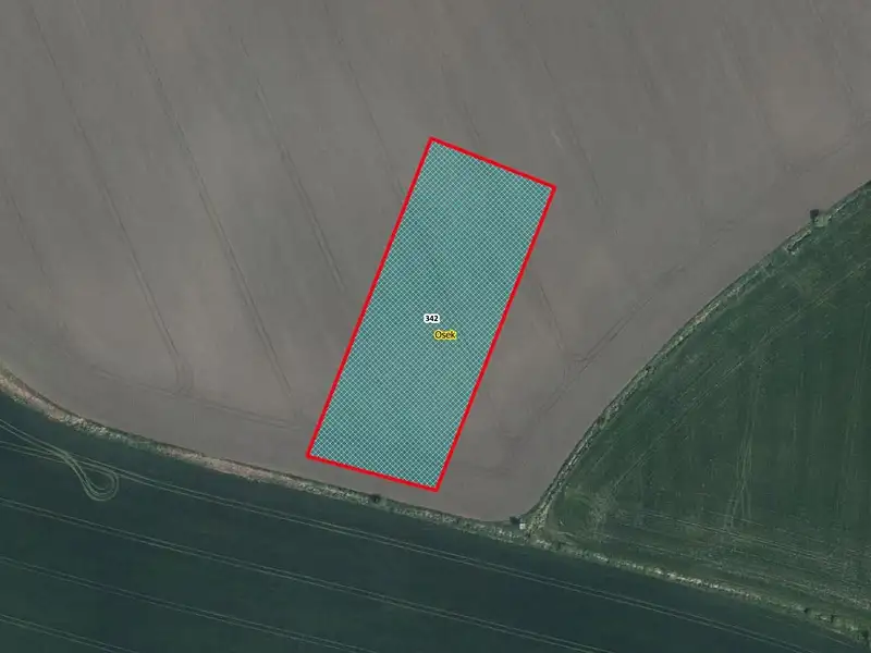 Prodej pole 5667 m², Kněžice – náhled fotky 1