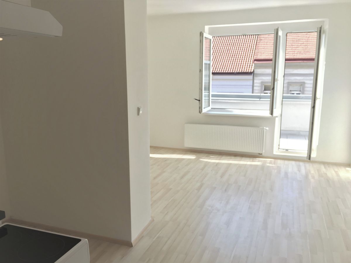 Pronájem bytu 1+kk 36 m² – fotografie 4