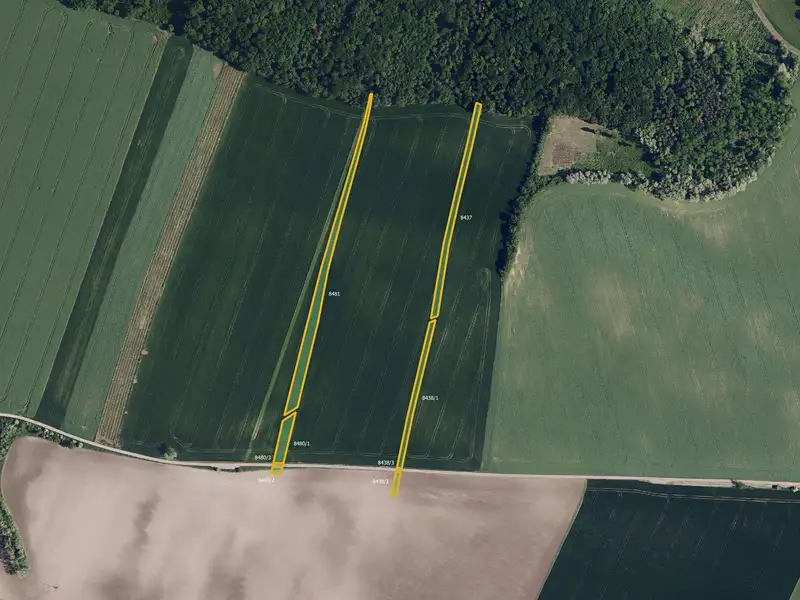 Prodej pole 68043 m², Borkovany – náhled fotky 3