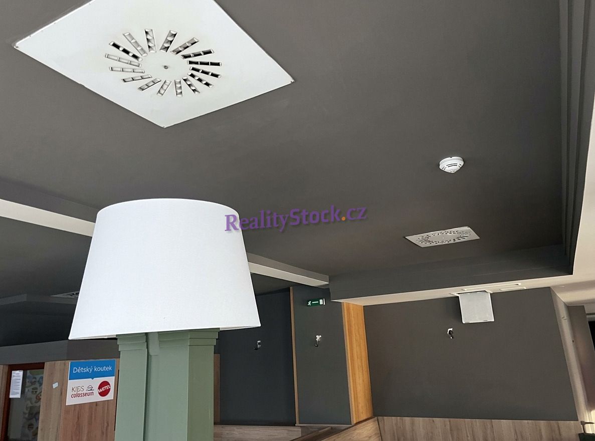 Pronájem obchodního prostoru 200 m² – fotografie 4