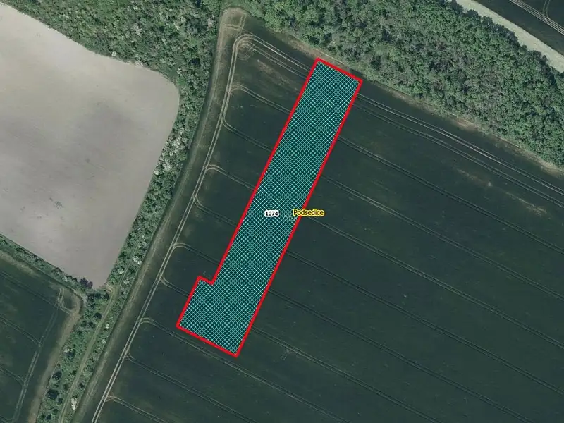 Prodej pole 7835 m², Podsedice – náhled fotky 1
