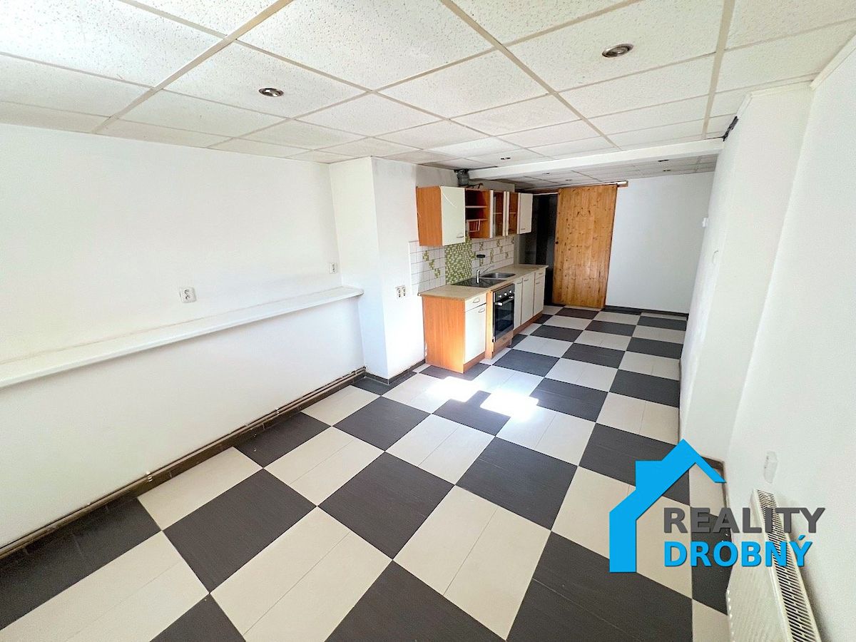 Pronájem bytu 2+1 53 m² – fotografie 4