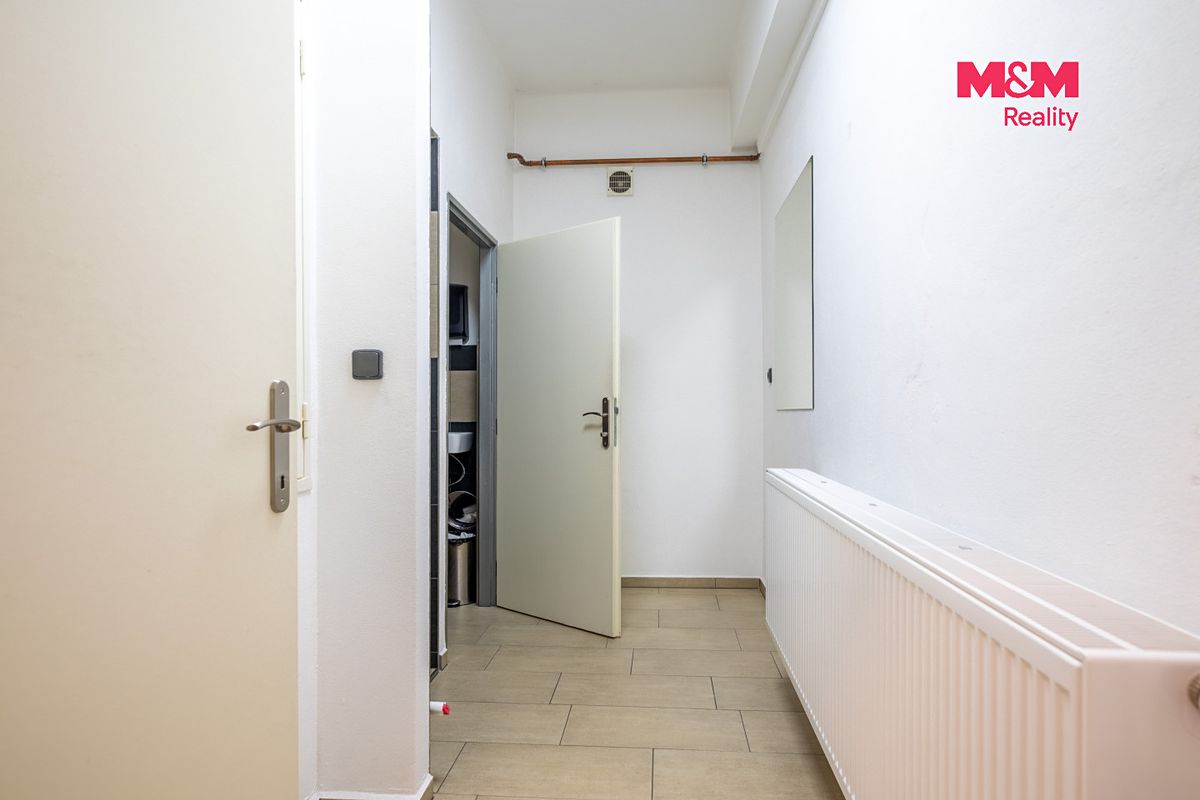 Prodej obchodního prostoru 340 m² – fotografie 5