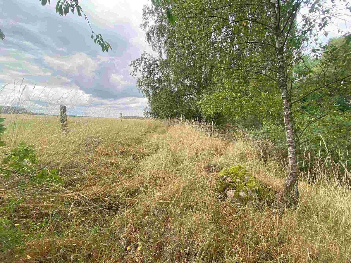 Prodej pozemku 2230 m² – fotografie 3