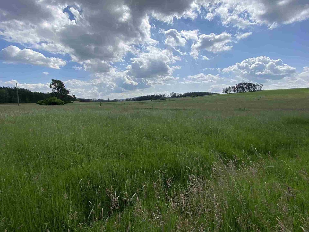 Prodej stavebního pozemku 1400 m² – fotografie 2