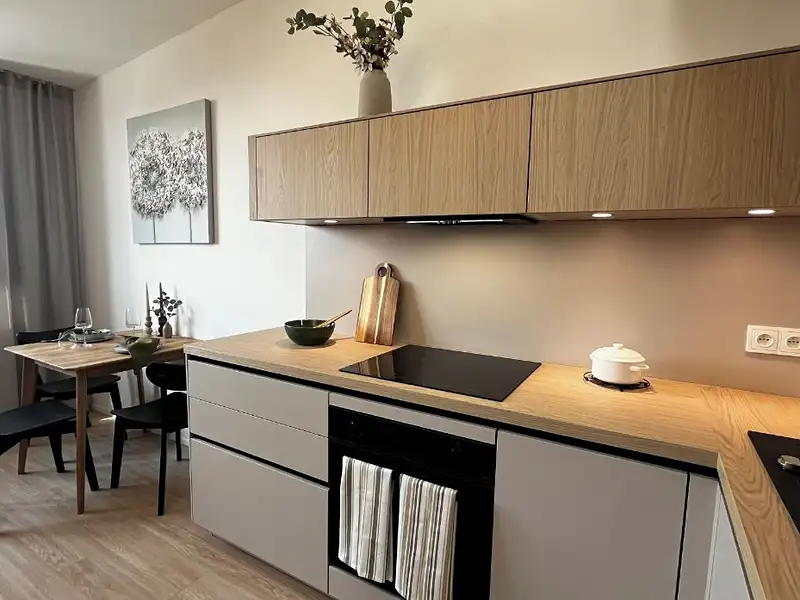 Prodej bytu 2+kk 43 m², Praha – náhled fotky 2