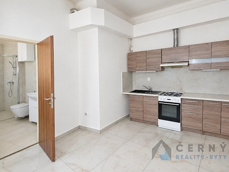 Pronájem bytu 2+1, 45 m² (5 z 19)