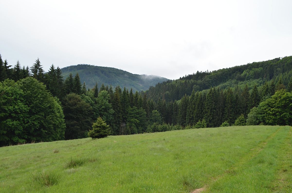 Prodej stavebního pozemku 7400 m², Jablunkov – fotka 1 z 3
