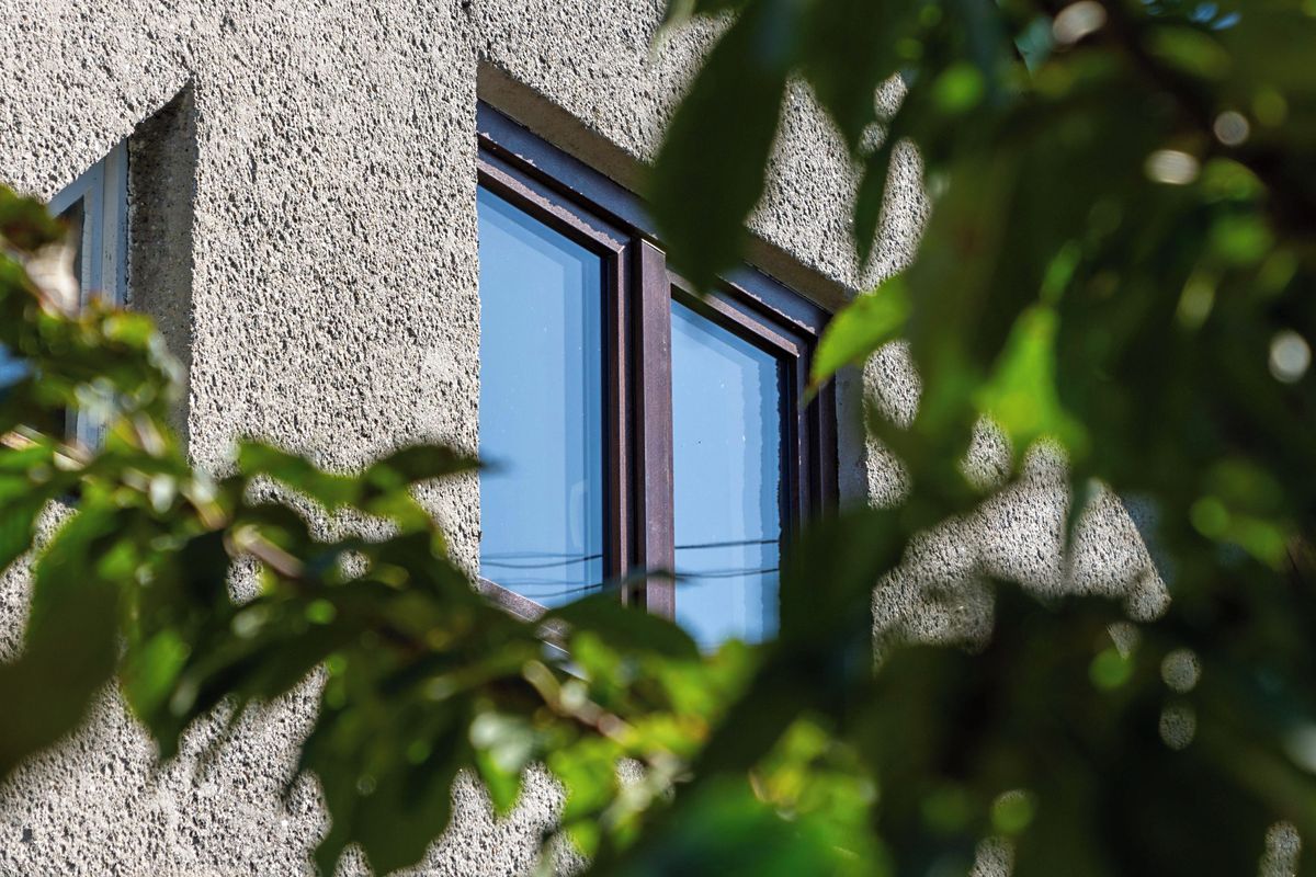 Prodej rodinného domu 130 m², pozemek 4985 m² – fotografie 4