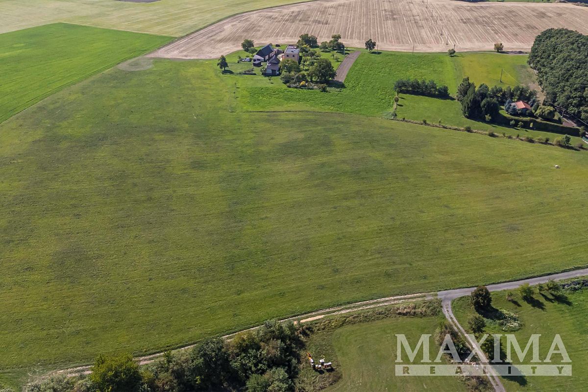 Prodej pole 6050 m² – fotografie 2