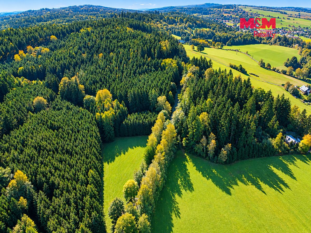Prodej lesa 15881 m² – fotografie 2