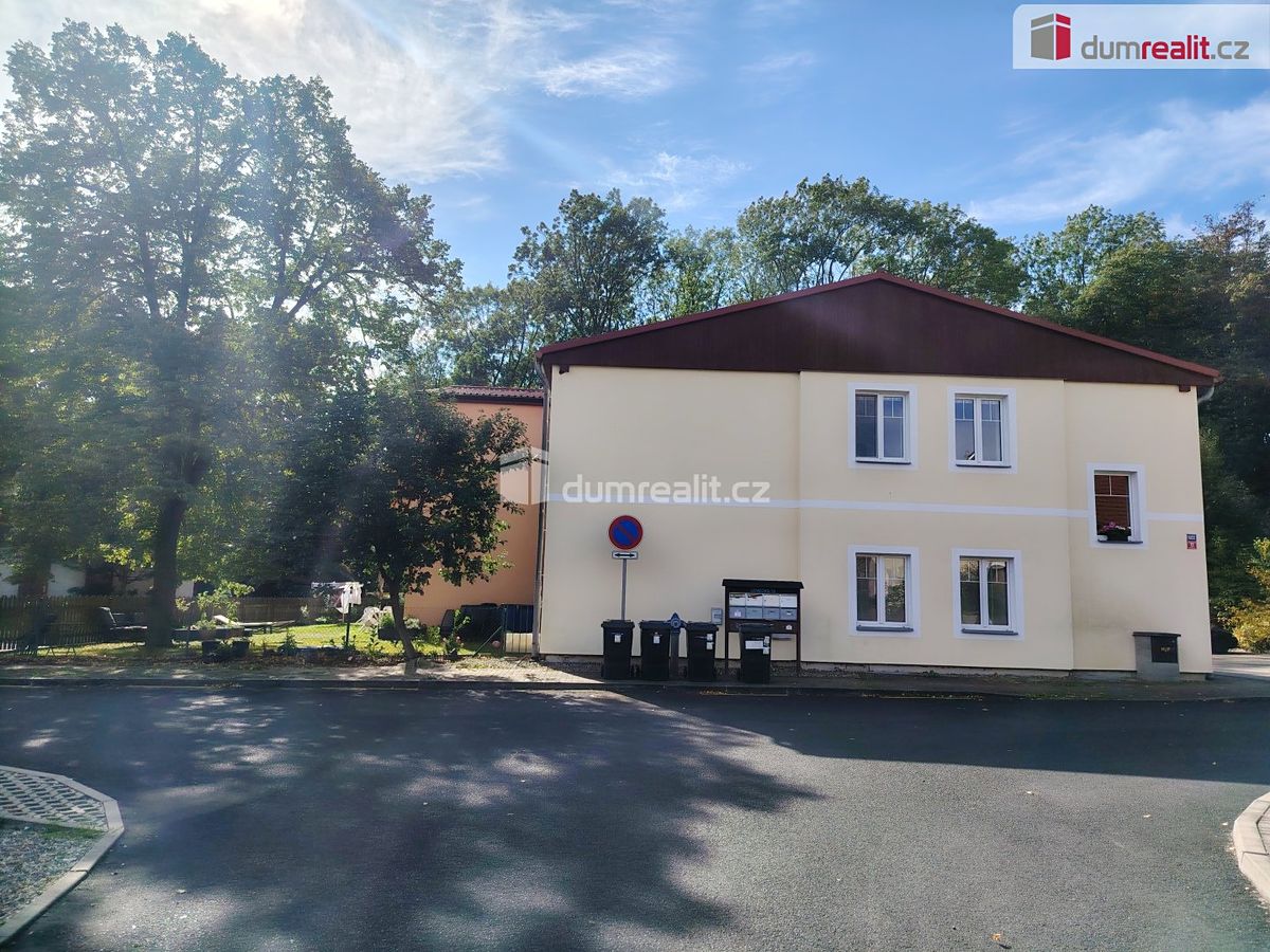 Pronájem bytu 1+1 45 m²