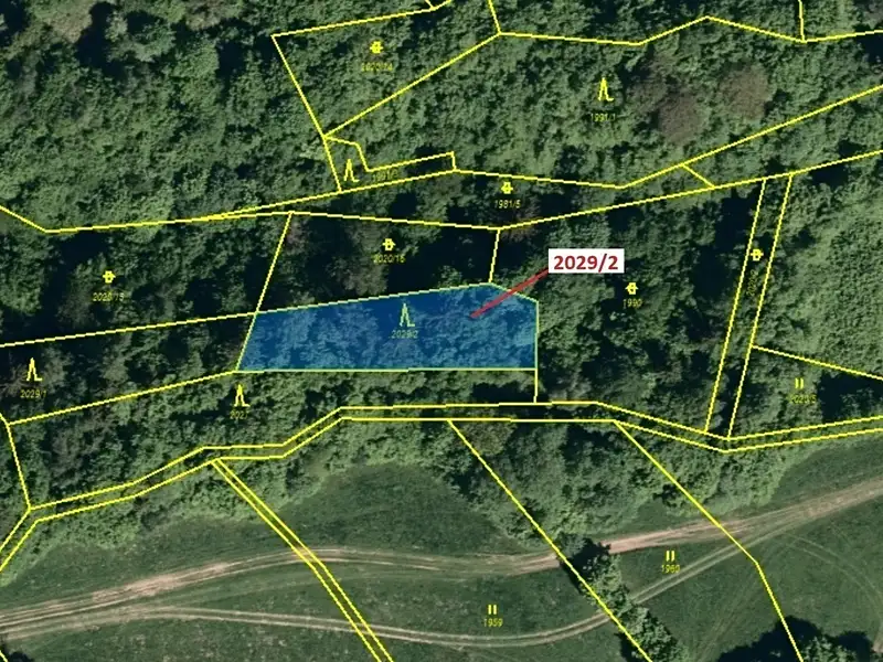 Dražba lesa 788 m², Hovězí – náhled fotky 2