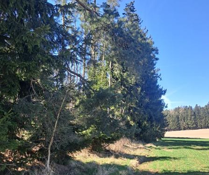 Grundstück zum Kauf, 1.644 m² (2 von 4)