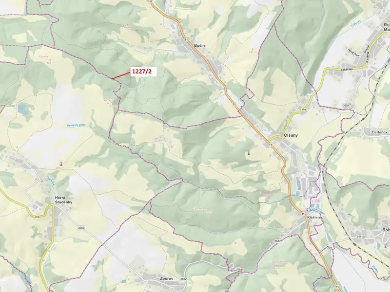 Dražba lesa 860 m², Horní Studénky – náhled fotky 1