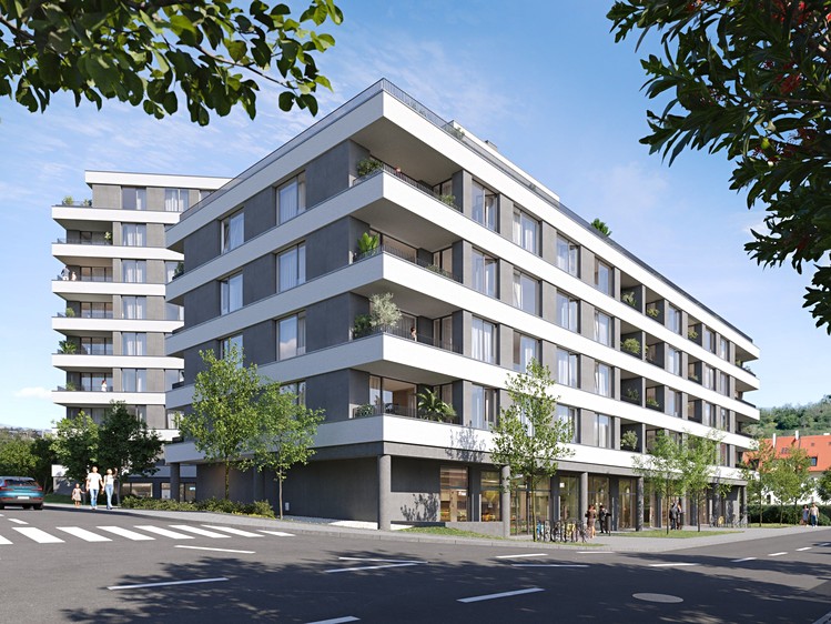 Pronájem komerčního prostoru, 274 m² (3 z 5)