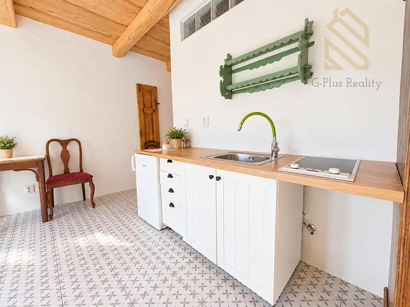 Pronájem bytu 1+kk 28 m², Černiv – náhled fotky 2