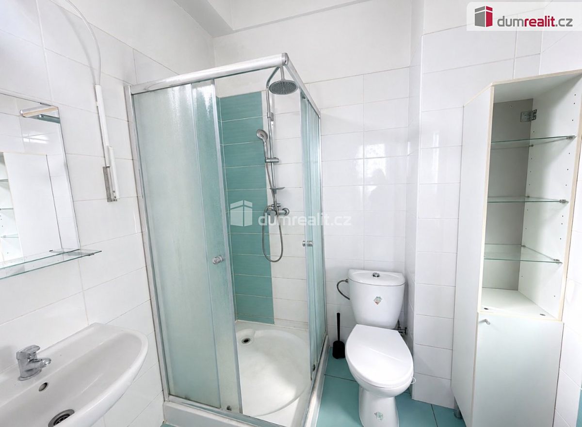 Pronájem bytu 4+kk 100 m² – fotografie 3