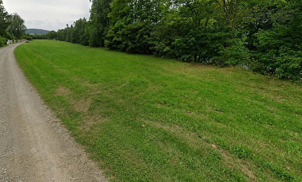 Pronájem louky 7945 m² – fotografie 5
