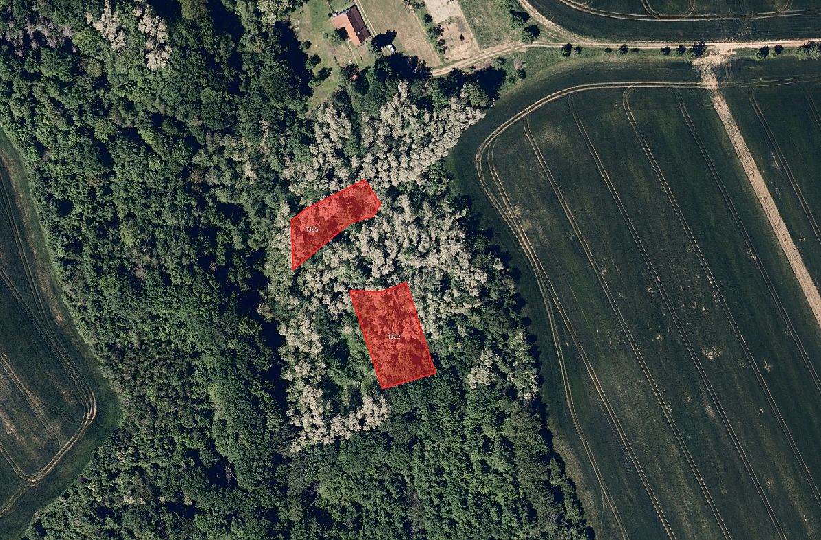 Prodej pole 6098 m² – fotografie 2