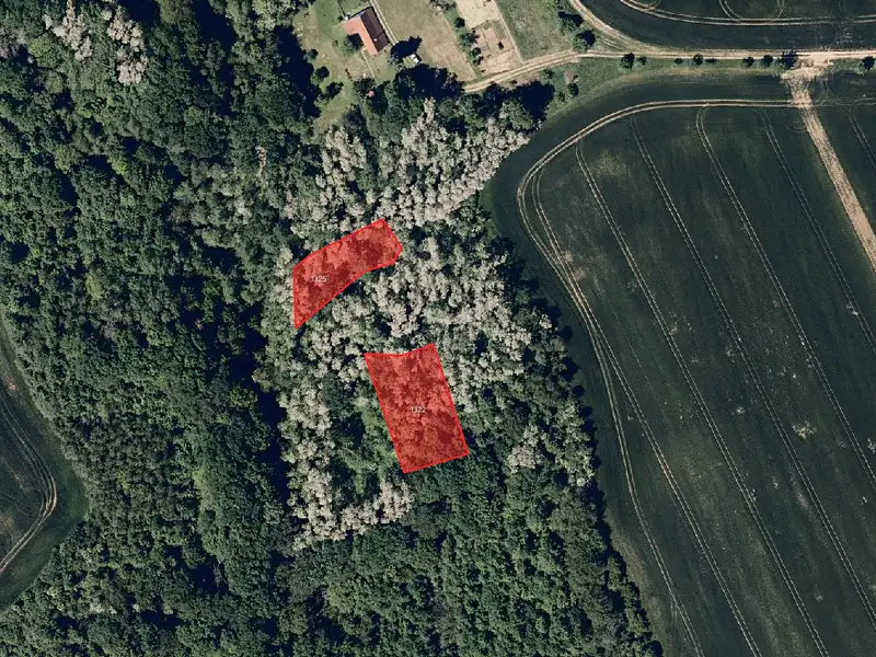 Prodej pole 6098 m², Traplice – náhled fotky 2