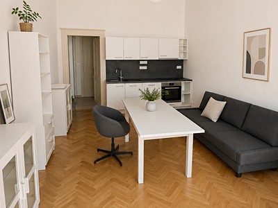 Wohnung 2+kk zur Miete, 49 m² (2 von 7)