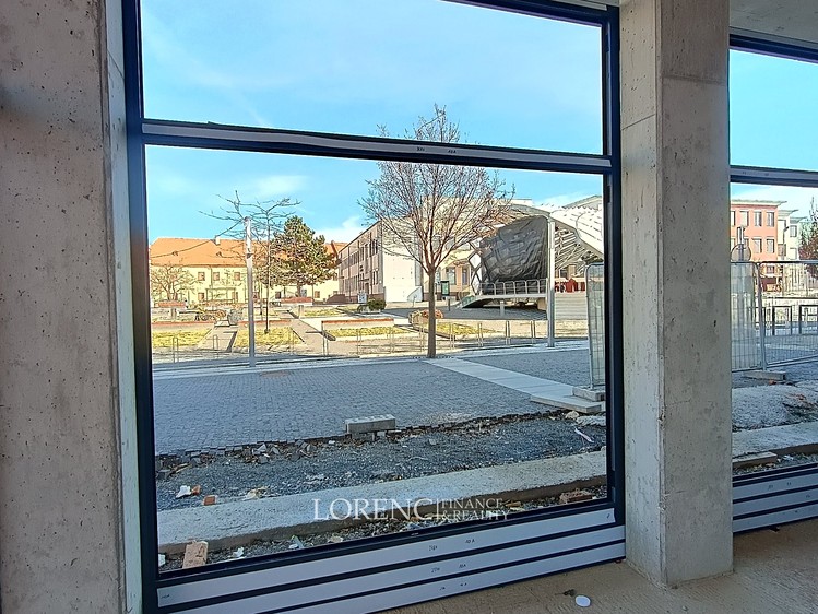 Pronájem komerčního prostoru, 115 m² (9 z 15)