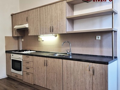 Pronájem bytu 1+1, 43 m² (3 z 14)