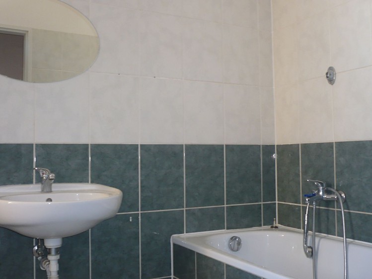 Pronájem bytu 1+1, 54 m² (4 z 5)