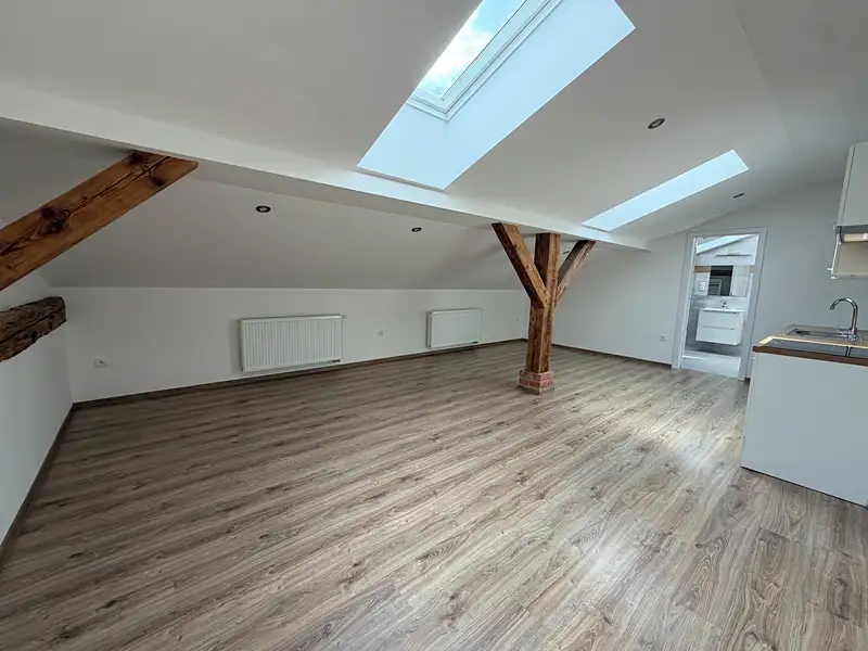 Pronájem bytu 2+kk 66 m², Návsí – náhled fotky 3